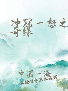 冲冠一怒之合租奇缘