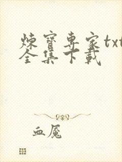 炼宝专家txt全集下载