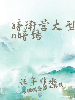 暗卫营大型hpn暗鸦