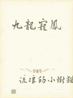 九龙宠凤