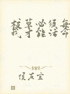 校草必须每天吸我才能活命[穿书]