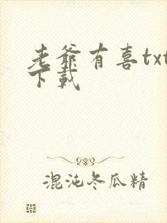 老爷有喜txt下载