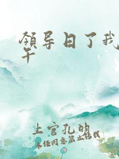 领导日了我一下午