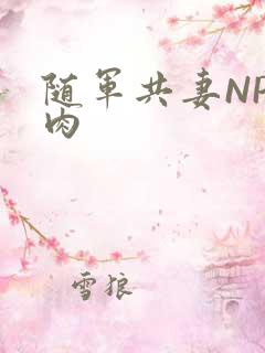 随军共妻NP纯肉