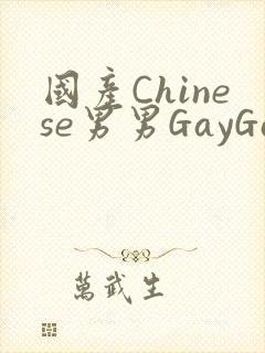 国产Chinese男男GayGayAPP