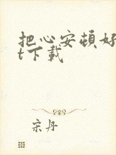把心安顿好txt下载