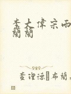 李大伟宋雨睛孙兰兰