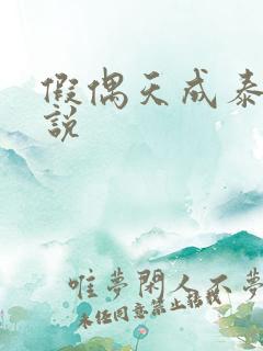 假偶天成泰国小说