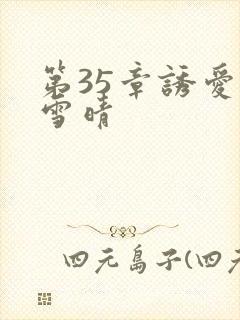 第35章诱爱赵雪晴