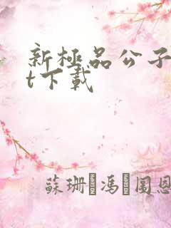 新极品公子txt下载