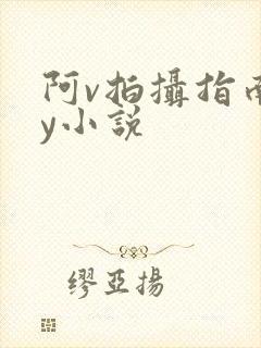 阿v拍摄指南by小说