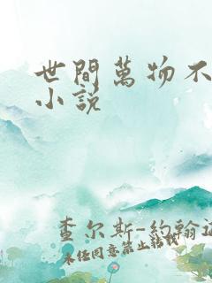 世间万物不及你小说