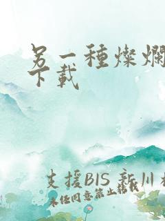 另一种灿烂生活下载