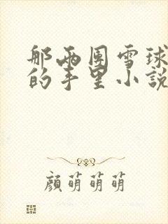 那两团雪球在他的手里小说