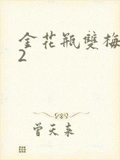 金花瓶双梅花12