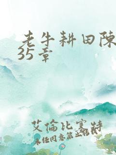 老牛耕田陈雪435章