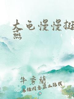 大龟慢慢挺进张燕