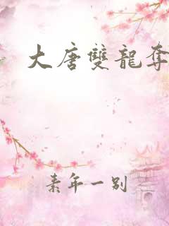 大唐双龙夺艳记