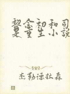 黎念初和司慕城是重生小说