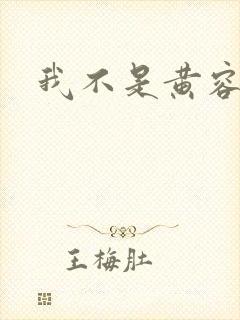 我不是黄容