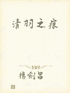 清羽之痕