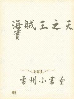 海贼王之天照果实