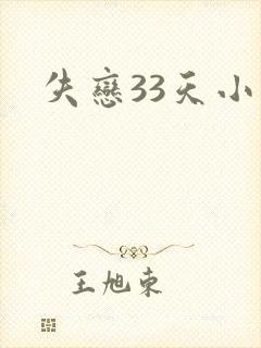 失恋33天小说