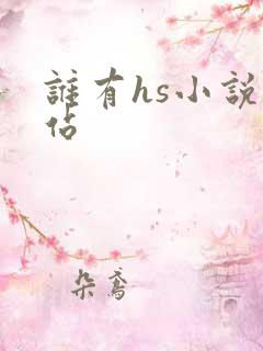 谁有hs小说网站