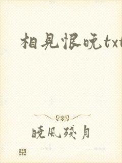 相见恨晚txt