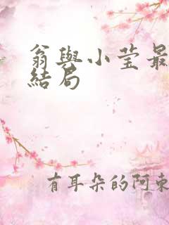 翁与小莹最新大结局