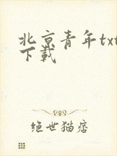 北京青年txt下载