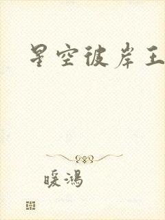 星空彼岸王轩