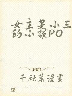 女主是小三很婊的小说PO