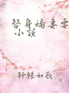 替身娇妻要离婚 小说