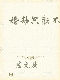 婚劫只欢不爱