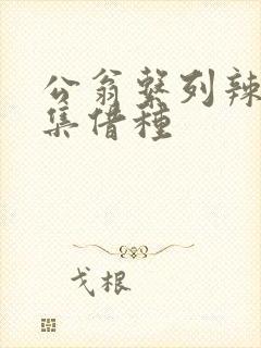 公翁系列辣文全集借种