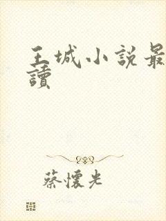 王城小说最近阅读