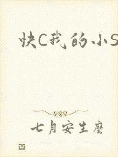 快C我的小SB