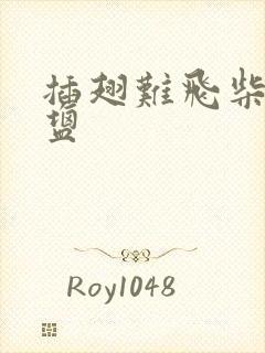 插翅难飞柴米油盐