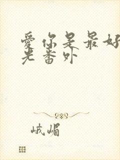 爱你是最好的时光番外