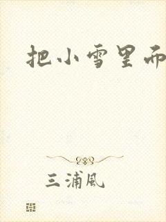 把小雪里面整满