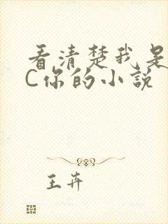 看清楚我是怎么C你的小说