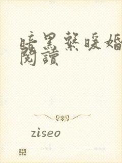 暗黑系暖婚免费阅读