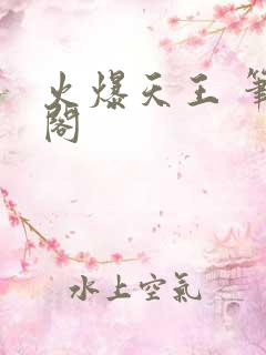 火爆天王 笔趣阁