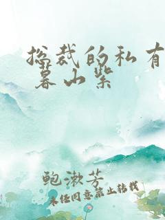 总裁的私有宝贝 暮山紫