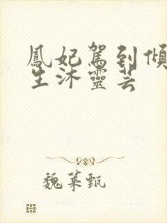 凤妃驾到倾倒众生沐灵芸