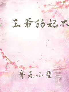 王爷的妃不是妃