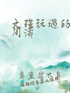 文强玩过的女人周涛