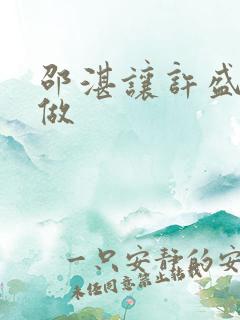 邵湛让许盛自己做