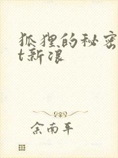 狐狸的秘密txt新浪